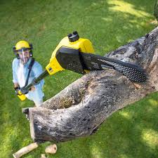 Best Firewood Processing and Delivery  in Budd Lake, NJ